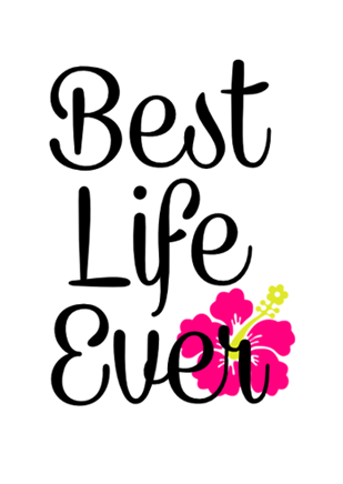 Best Life Ever Jumbo Sticker Set – 3 Large Glossy Waterproof Stickers | JW Inspired Encouragement Gift | 3x2 Inch Durable Vinyl Decals