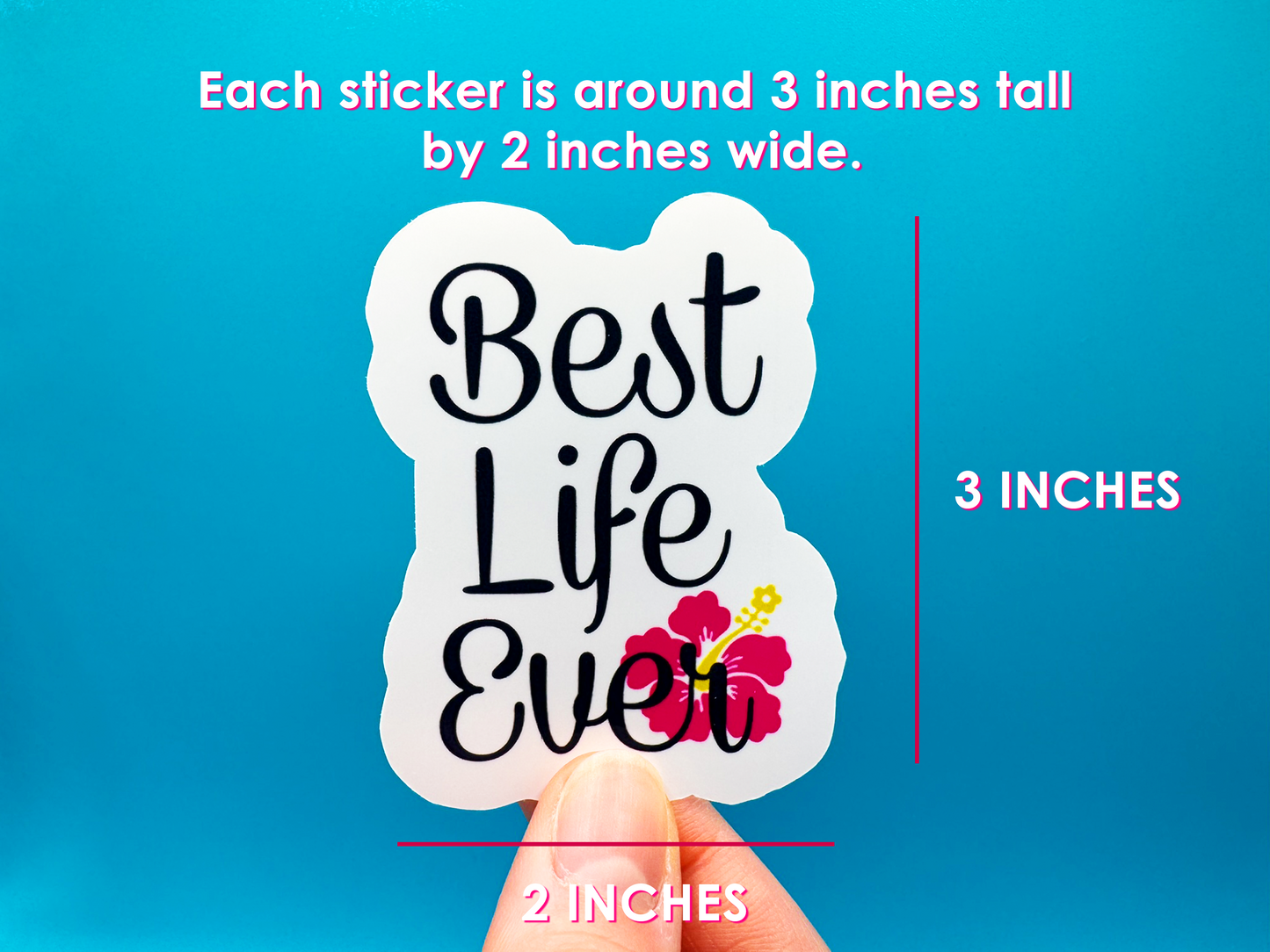 Best Life Ever Jumbo Sticker Set – 3 Large Glossy Waterproof Stickers | JW Inspired Encouragement Gift | 3x2 Inch Durable Vinyl Decals
